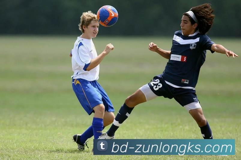 多媒体互动体验